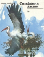 Симфония жизни артикул 4985d.