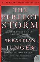 The Perfect Storm: A True Story of Men Against the Sea артикул 4884d.