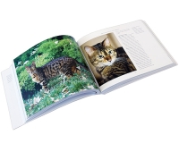 The Ultimate Guide to Cat Breeds артикул 4973d.