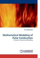 Mathematical Modeling of Pulse Combustion: Principle, Practice and Modeling артикул 5062d.